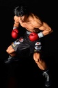 (PO) Hajime no Ippo - Takamura Mamoru Fighting Pose Ver. Damage EX Image_9