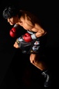 (PO) Hajime no Ippo - Takamura Mamoru Fighting Pose Ver. Damage EX Image_10