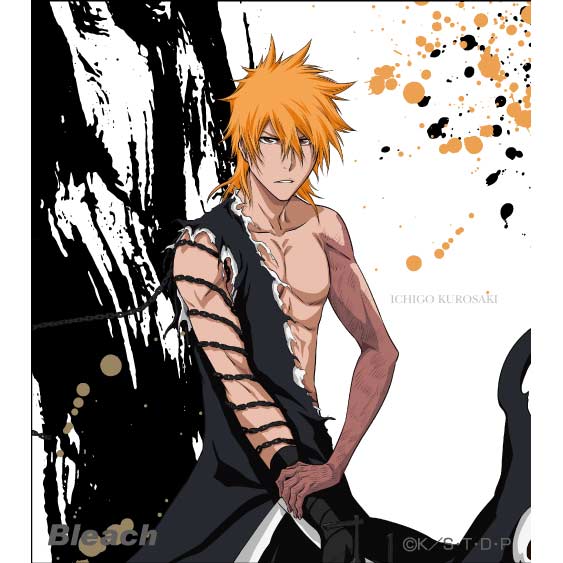 (PO) Bleach my Sword, My Soul Mini Shikishi Kurosaki Ichigo Image_1