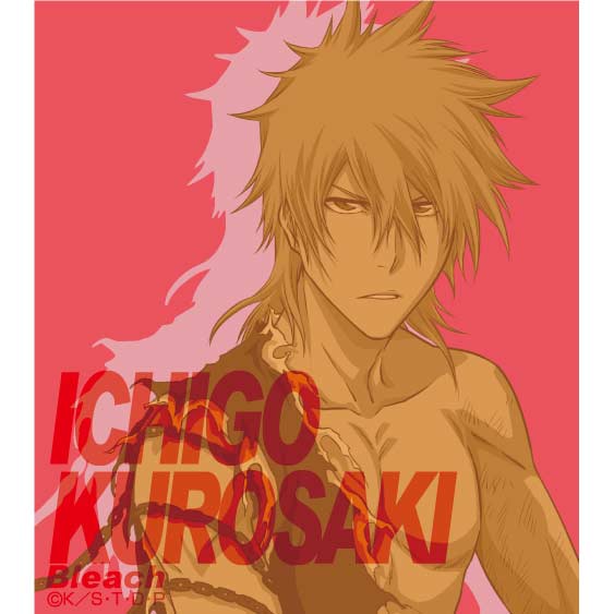 (PO) Bleach my Sword, My Soul Mini Shikishi Kurosaki Ichigo (Red) Image_1