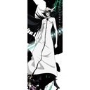 (PO) Bleach my Sword, My Soul Life-Sized Fabric Poster Ulquiorra Cifer Image_1