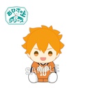 (PO) Haikyu!! On the Lap Series Plush - Hinata Shoyo Image_1