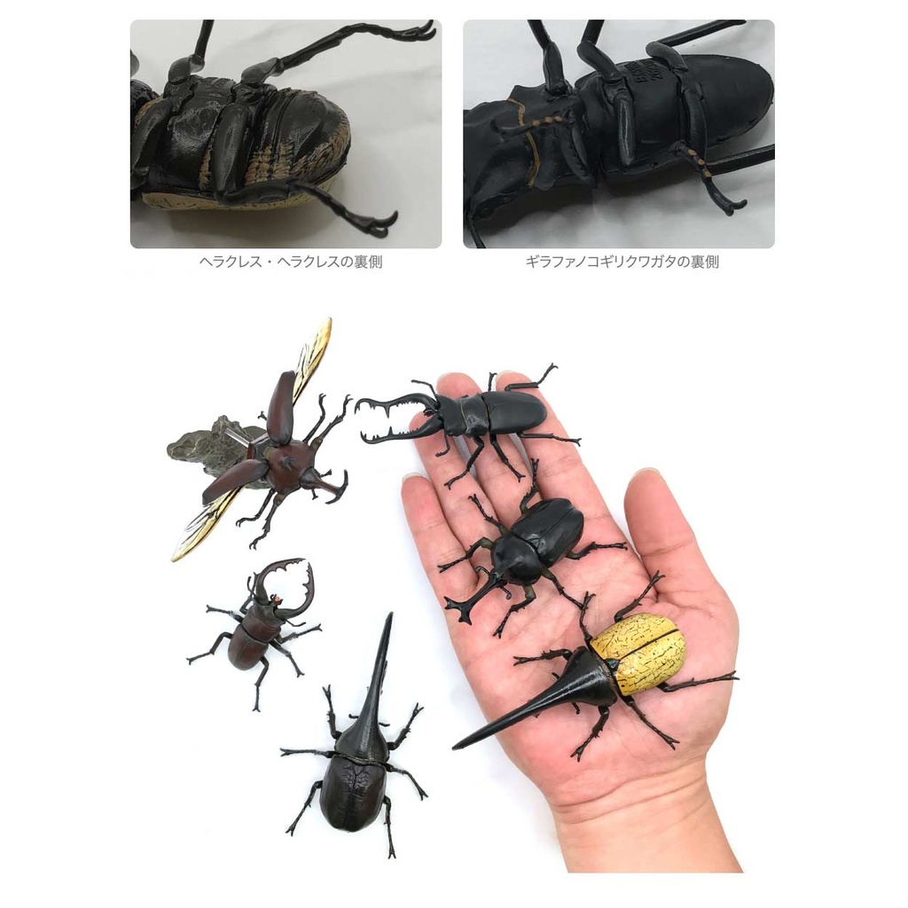 Creatures Encyclopedia Mini Collection Insect 01  Image_3