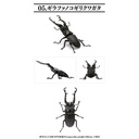 Creatures Encyclopedia Mini Collection Insect 01  Image_8