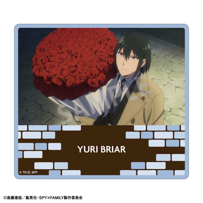 (PO) SPY x FAMILY Trading Square Clear Card [BOX] Image_10