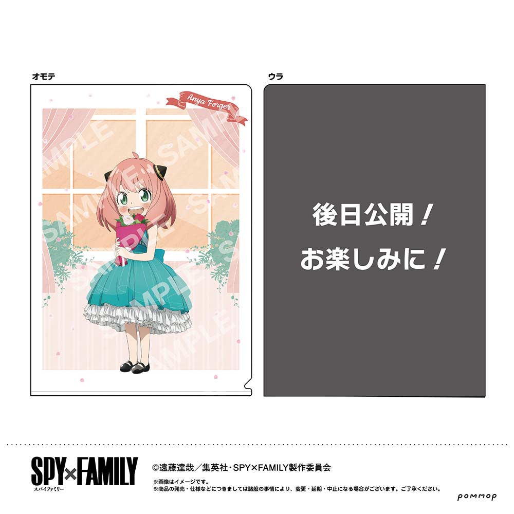 (PO) SPY x FAMILY Clear File B Anya / ??? Image_1