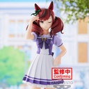 (PO) Uma Musume Pretty Derby Nice Nature Image_1