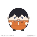 (PO) HQ-35 Haikyu!! Fuwakororin 6 [BOX] Image_2