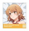(PO) My Teen Romantic Comedy SNAFU Original Illustration Trading Shikishi Vol. 7 [BOX] Image_12
