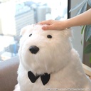 (PO) SPY x FAMILY Bond Plush Image_9