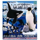 (PO) Nature Techni Colour Antarctic Special Edition Image_1