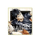 (PO) Haikyu!! Trading Hologram Shikishi Box 1 [BOX] Image_4