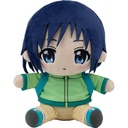 (PO) Encouragement of Climb: Next Summit Plush - Kurosaki Honoka Image_1