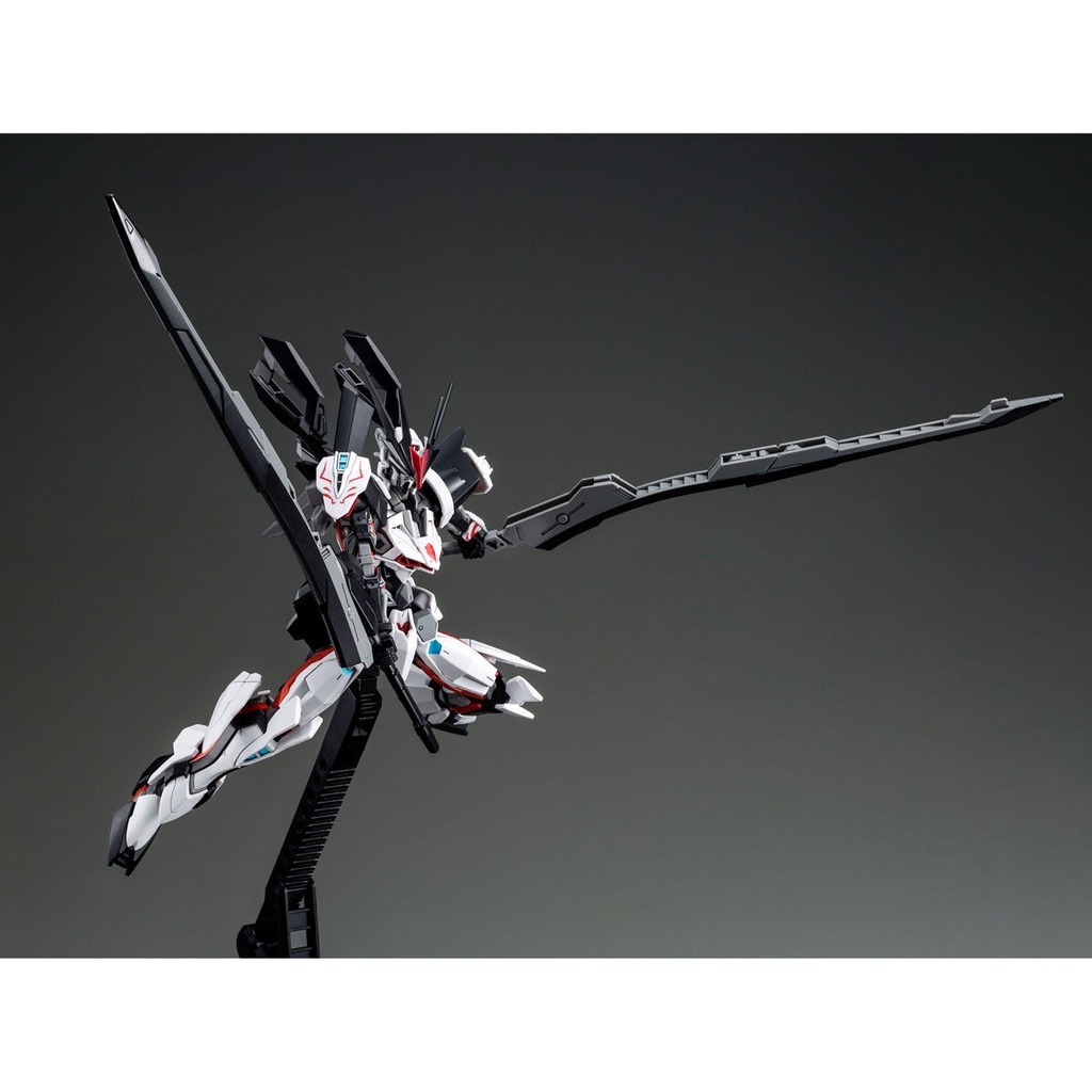 HG 1/144 MS Gundam LOAD ASTRAY Ω (P Bandai) Image_5