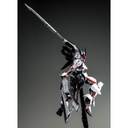 HG 1/144 MS Gundam LOAD ASTRAY Ω (P Bandai) Image_6