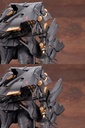 (PO) Armored Core DECOCTION MODELS Rayleonard 03-AALIYAH Supplice Image_19