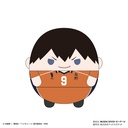 (PO) HQ-37 Haikyu!! Fuwakororin (M Size) 6 A Kageyama Tobio Image_1