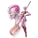 (PO) Super Action Statue JoJo's Bizarre Adventure Part V - Spice Girl (Re-issue) Image_1