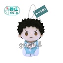 (PO) Haikyu! To The Top Finger Puppet Series Flag Ver. - Iwaizumi Hajime Image_1