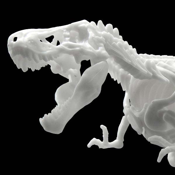 (PO) LIMEX Dinosaur Skeleton - Tyrannosaurus Image_2