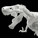 (PO) LIMEX Dinosaur Skeleton - Tyrannosaurus Image_2