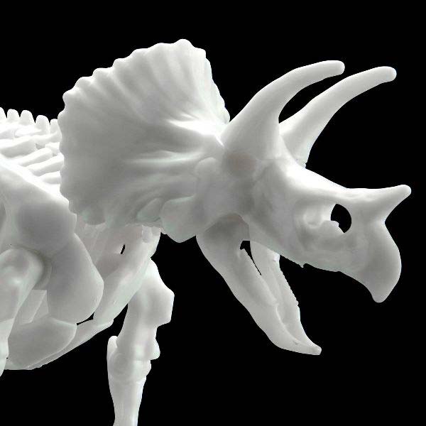(PO) LIMEX Dinosaur Skeleton - Triceratops Image_2