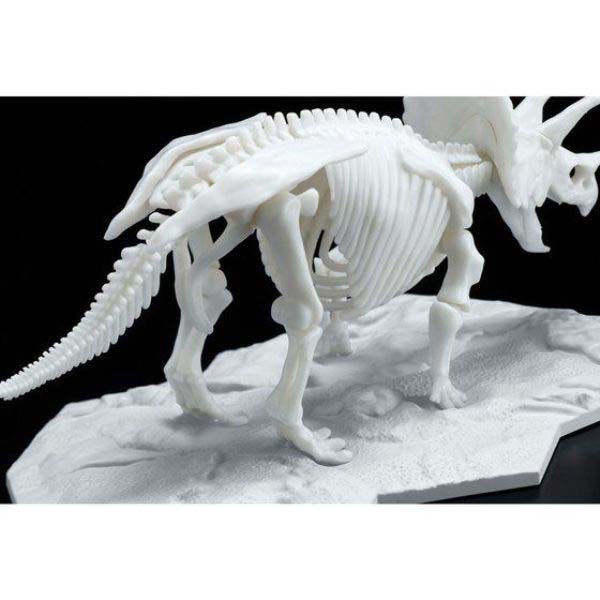 (PO) LIMEX Dinosaur Skeleton - Triceratops Image_5