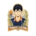 (PO) Haikyu!! Travel Sticker 4 Kageyama Tobio Image_1