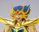 (PO) Saint Cloth Myth EX Cancer Deathmask Revival Ver. Image_11