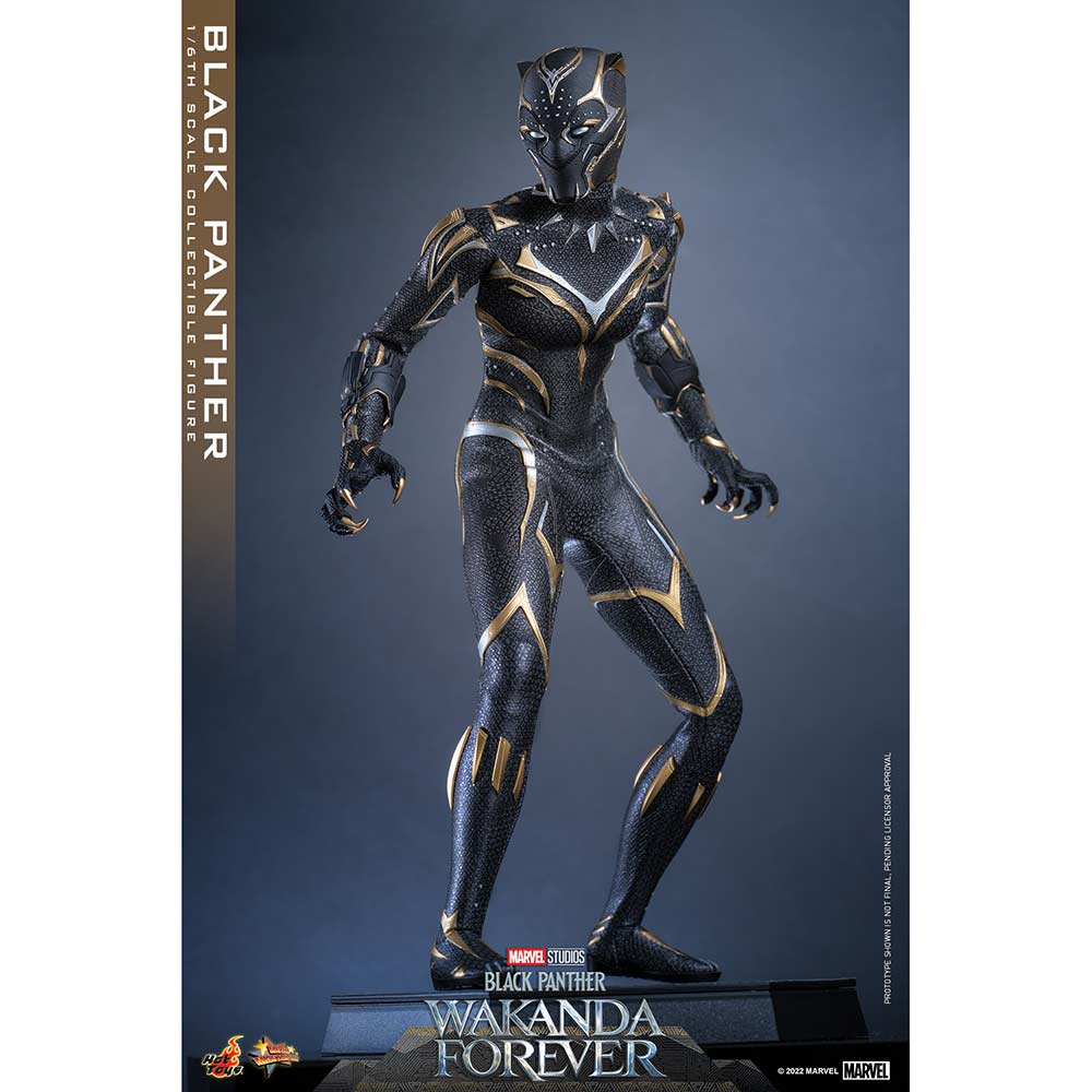 (PO) Movie Masterpiece Series MMS675 - Black Panther: Wakanda Forever - Black Panther Image_6