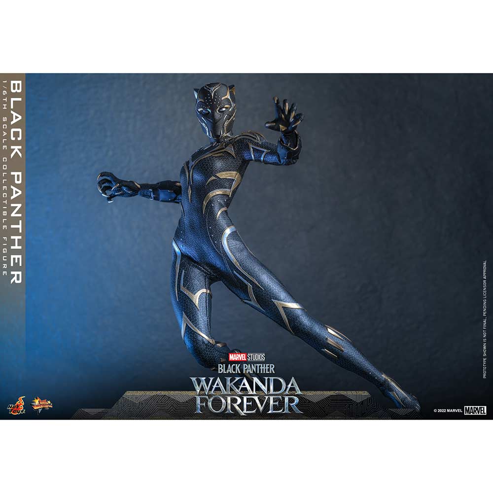 (PO) Movie Masterpiece Series MMS675 - Black Panther: Wakanda Forever - Black Panther Image_18