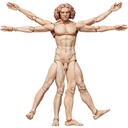 (PO) figma SP-075 The Table Museum Vitruvian Man Image_1