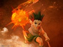 (PO) Hunter x Hunter - Gon Freecss Image_13