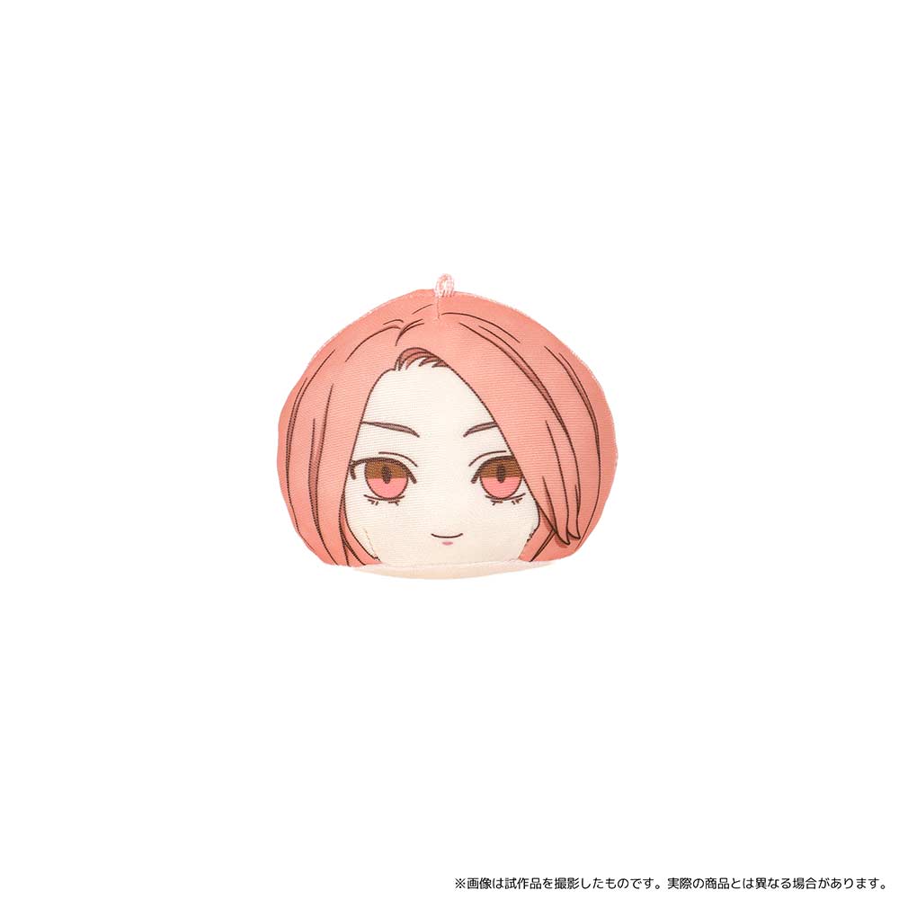 (PO) Tokyo Revengers Anizukin Plush Mascot Vol. 4 [BOX] Image_13