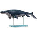 (PO) PLANNOSAURUS Mosasaurus Image_1