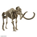 (PO) Exploring Lab Nature Mammoth Image_8