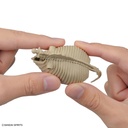 (PO) Exploring Lab Nature Mammoth Image_17