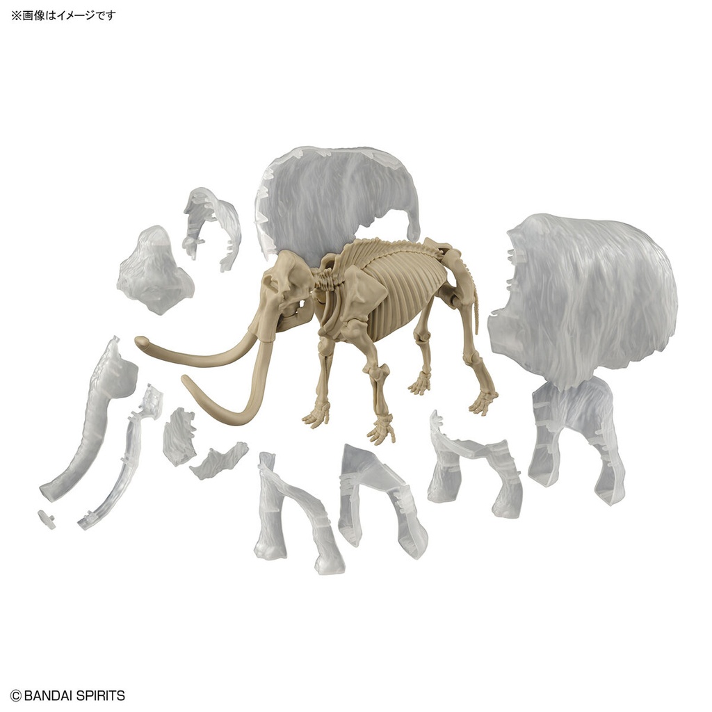 (PO) Exploring Lab Nature Mammoth Image_19