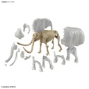 (PO) Exploring Lab Nature Mammoth Image_19