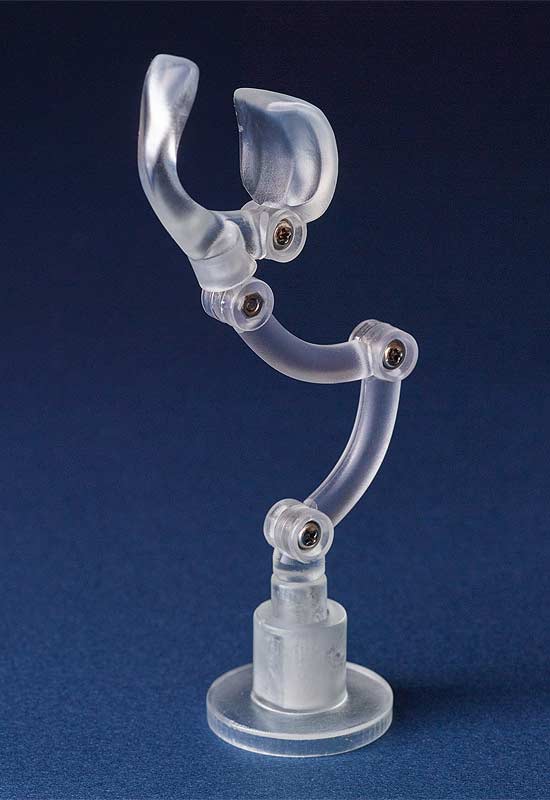 (PO) Harmonia bloom Harmonia series Prop Set Image_5