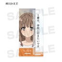 Rascal Does Not Dream of Bunny Girl Senpai Trading Words Acrylic Stand Image_7