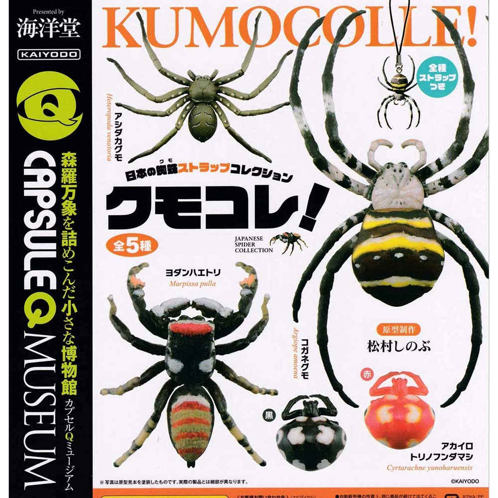 (PO) CapsuleQ Museum - Spider Collection Image_1