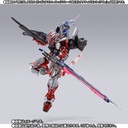 Metal Build – Gundam Seed AQM/E-X02 Sword Striker (P Bandai) Image_9