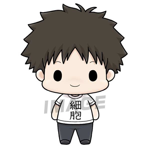 (PO) Chokorin Mascot Cells at Work [BOX] Image_8