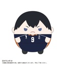 (PO) HQ-03 Haikyu! Fuwakororin [BOX] Image_3