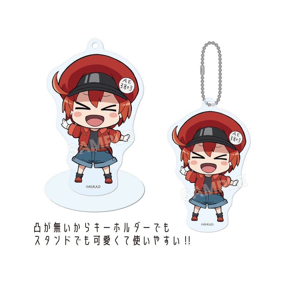 (PO) Cells at Work Marutto Stand Key Chain 01 Vol. 1 [BOX] Image_5