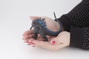 (PO) Solid Series Godzilla 2019 Trading Figure (Re-issue) [BOX] Image_22