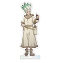 (PO) Dr. Stone Acrylic Stand - Ishigami Senku Image_2