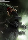 (PO) S.H.Monster Arts Godzilla vs. Biollante - Godzilla (1989) Image_8