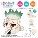 (PO) DRS-02 Dr. Stone Hug x Character Collection [BOX] Image_9